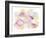 Floral Cluster-Sarah Von Dreele-Framed Giclee Print