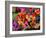 Floral Collage-Linda Arthurs-Framed Giclee Print