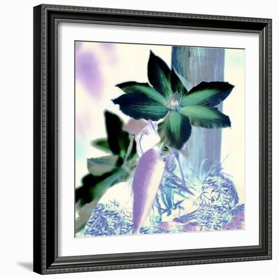 Floral Color #10-Alan Blaustein-Framed Photographic Print