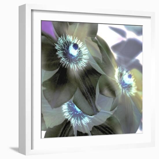 Floral Color #14-Alan Blaustein-Framed Photographic Print