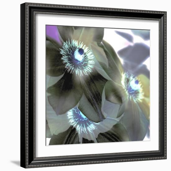 Floral Color #14-Alan Blaustein-Framed Photographic Print