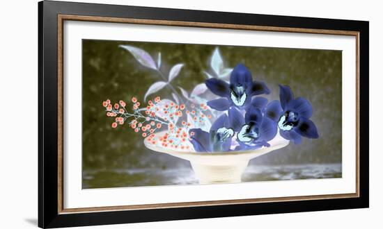 Floral Color #18-Alan Blaustein-Framed Photographic Print