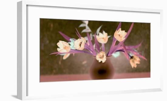Floral Color #19-Alan Blaustein-Framed Photographic Print