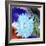 Floral Color #1-Alan Blaustein-Framed Photographic Print