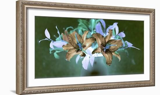 Floral Color #20-Alan Blaustein-Framed Photographic Print
