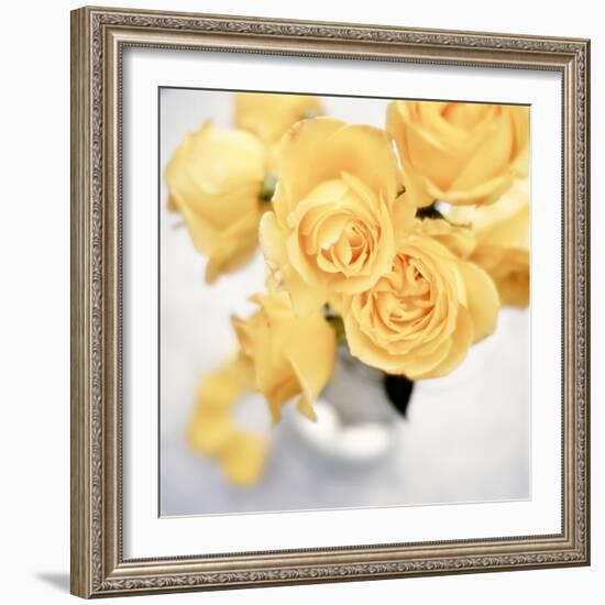 Floral Color #21-Alan Blaustein-Framed Photographic Print