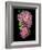 Floral Color #29-Alan Blaustein-Framed Photographic Print