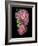 Floral Color #29-Alan Blaustein-Framed Photographic Print