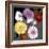 Floral Color #6-Alan Blaustein-Framed Photographic Print