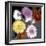 Floral Color #6-Alan Blaustein-Framed Photographic Print