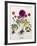 Floral Decoupage - Anemone-Camille Soulayrol-Framed Giclee Print