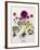 Floral Decoupage - Anemone-Camille Soulayrol-Framed Giclee Print