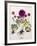 Floral Decoupage - Anemone-Camille Soulayrol-Framed Giclee Print