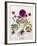 Floral Decoupage - Anemone-Camille Soulayrol-Framed Giclee Print