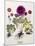 Floral Decoupage - Anemone-Camille Soulayrol-Mounted Giclee Print