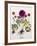 Floral Decoupage - Anemone-Camille Soulayrol-Framed Giclee Print