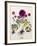Floral Decoupage - Anemone-Camille Soulayrol-Framed Giclee Print