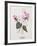 Floral Decoupage - Cyclamen-Camille Soulayrol-Framed Giclee Print