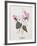 Floral Decoupage - Cyclamen-Camille Soulayrol-Framed Giclee Print