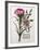 Floral Decoupage - Dianthus-Camille Soulayrol-Framed Giclee Print