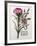 Floral Decoupage - Dianthus-Camille Soulayrol-Framed Giclee Print