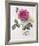 Floral Decoupage I-Camille Soulayrol-Framed Giclee Print