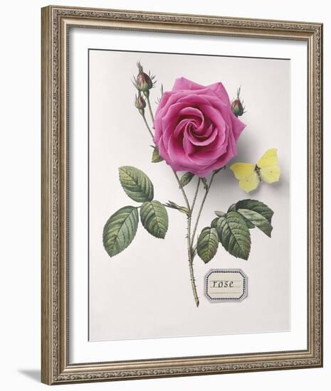 Floral Decoupage I-Camille Soulayrol-Framed Giclee Print