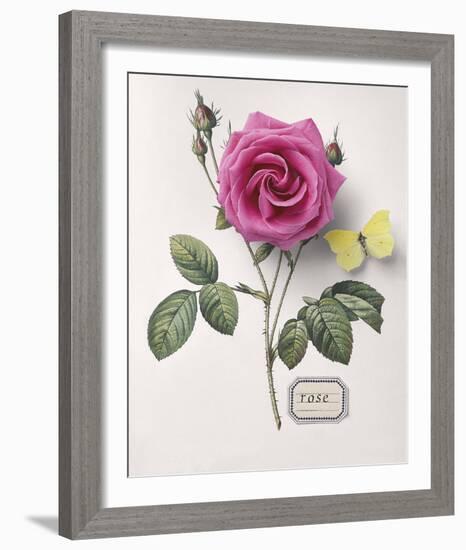 Floral Decoupage I-Camille Soulayrol-Framed Giclee Print