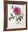 Floral Decoupage I-Camille Soulayrol-Framed Giclee Print