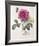 Floral Decoupage I-Camille Soulayrol-Framed Giclee Print