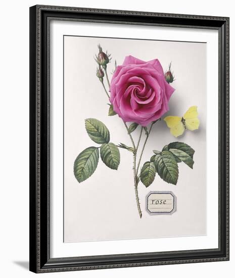 Floral Decoupage I-Camille Soulayrol-Framed Giclee Print