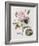 Floral Decoupage II-Camille Soulayrol-Framed Giclee Print