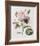 Floral Decoupage II-Camille Soulayrol-Framed Giclee Print