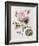 Floral Decoupage II-Camille Soulayrol-Framed Giclee Print