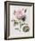 Floral Decoupage II-Camille Soulayrol-Framed Giclee Print