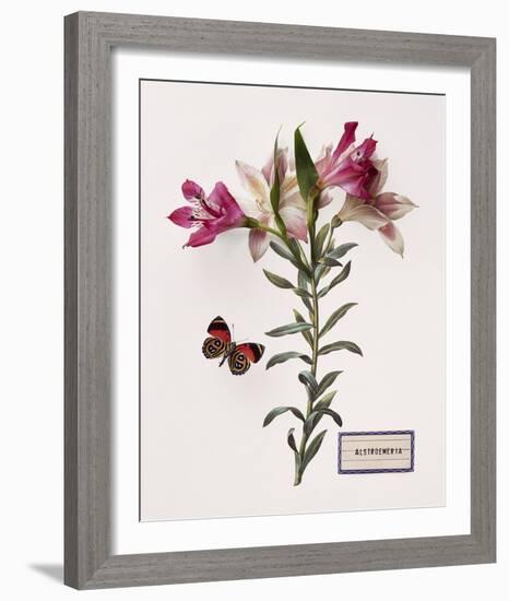 Floral Decoupage III-Camille Soulayrol-Framed Giclee Print