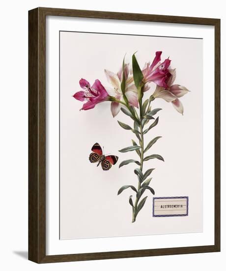 Floral Decoupage III-Camille Soulayrol-Framed Giclee Print