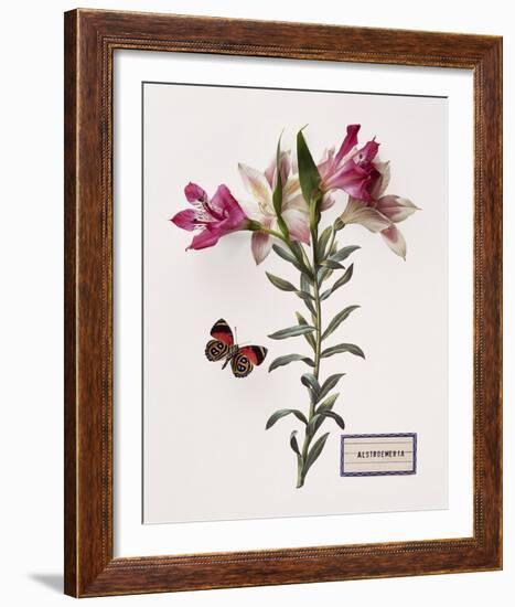 Floral Decoupage III-Camille Soulayrol-Framed Giclee Print