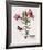 Floral Decoupage III-Camille Soulayrol-Framed Giclee Print