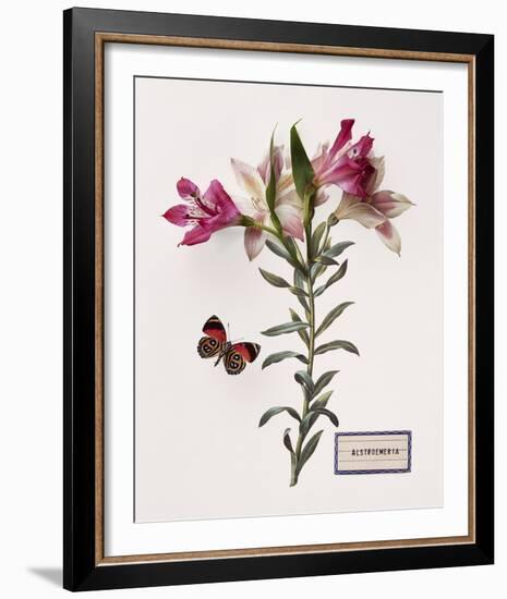 Floral Decoupage III-Camille Soulayrol-Framed Giclee Print