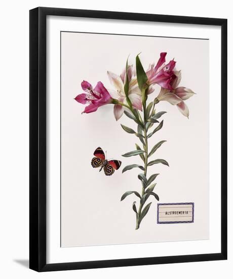 Floral Decoupage III-Camille Soulayrol-Framed Giclee Print
