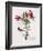 Floral Decoupage III-Camille Soulayrol-Framed Giclee Print