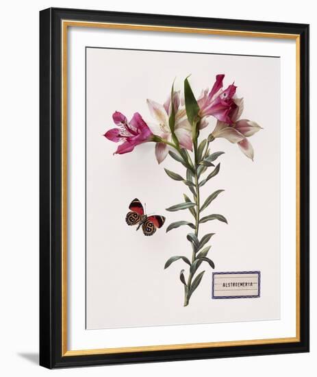 Floral Decoupage III-Camille Soulayrol-Framed Giclee Print