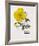 Floral Decoupage IV-Camille Soulayrol-Framed Giclee Print