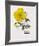 Floral Decoupage IV-Camille Soulayrol-Framed Giclee Print