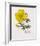 Floral Decoupage IV-Camille Soulayrol-Framed Giclee Print