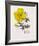 Floral Decoupage IV-Camille Soulayrol-Framed Giclee Print