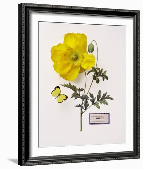 Floral Decoupage IV-Camille Soulayrol-Framed Giclee Print