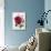 Floral Decoupage - Rosa-Camille Soulayrol-Giclee Print displayed on a wall