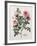 Floral Decoupage - Rosales-Camille Soulayrol-Framed Giclee Print